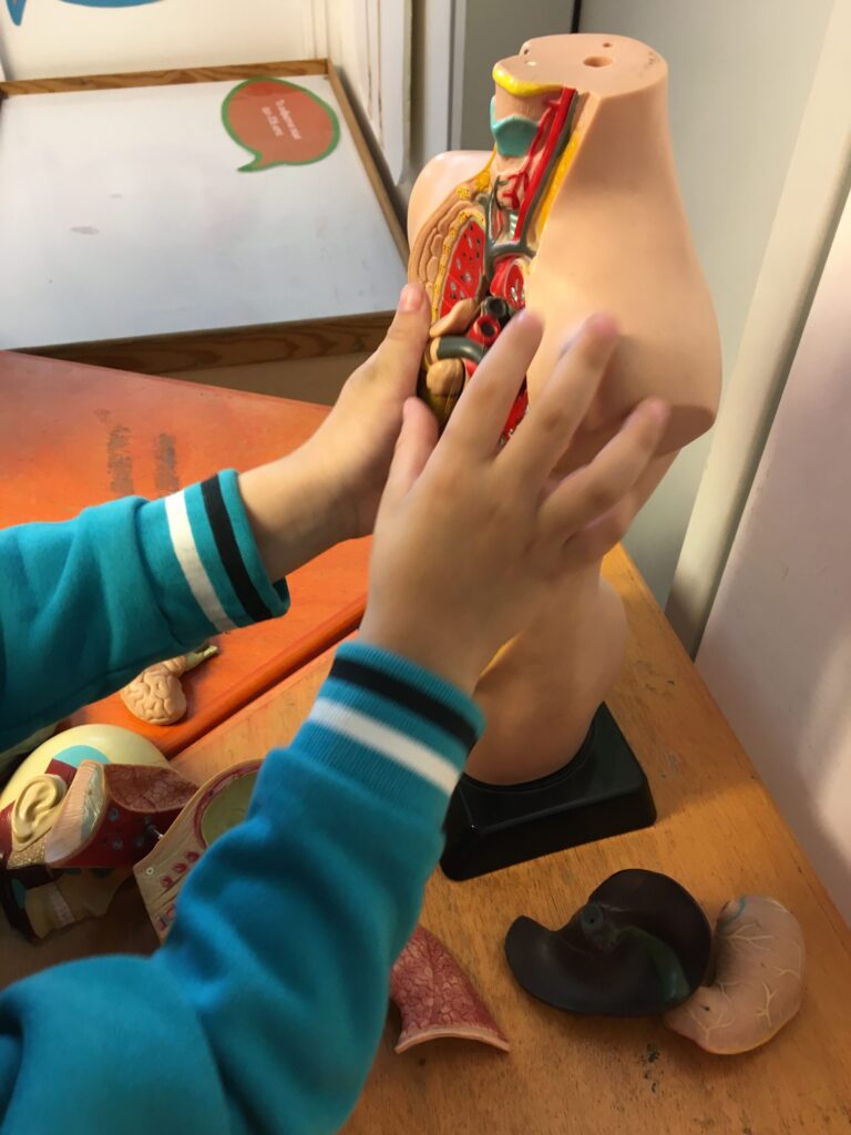 Άτομα με Αναπηρία